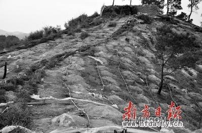 漫山遍野皆是網(wǎng)狀酸液管道。