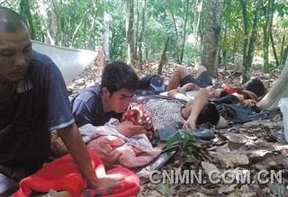 為躲避加納軍警，一些中國采金者在附近的可可樹林躲藏。本版圖片由中國采金者提供