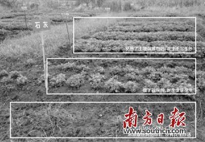 韶關(guān)是廣東乃至全國重金屬污染較嚴(yán)重的地區(qū)之一。幾年來，各級政府部門高度重視，探索尋求修復(fù)重金屬污染土壤的有效措施。據(jù)媒體公開報道，近日經(jīng)省政府同意，省環(huán)保廳正式印發(fā)了《韶關(guān)市涉重金屬行業(yè)環(huán)境綜合整治方案（2015-2020年）》，計劃投入27.8億元，在韶關(guān)實(shí)施落后產(chǎn)能淘汰、產(chǎn)業(yè)整治提升、土壤污染修復(fù)治理示范、環(huán)境監(jiān)管能力建設(shè)等四大類工程項目。在土壤修復(fù)方面，2020年底前力爭完成8000畝以上受污染農(nóng)田土壤修復(fù)。這無疑給罹患重癥的土壤帶來生機(jī)。