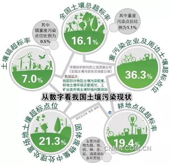 重金屬污染“毒地”就這樣煥發(fā)生機(jī)
