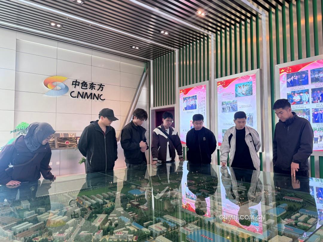 照片2