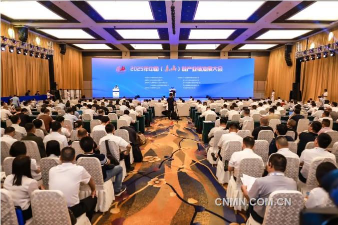 2025年中國（樂山）硅產業(yè)鏈發(fā)展大會召開